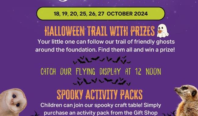 Eagle Heights Halloween Trail