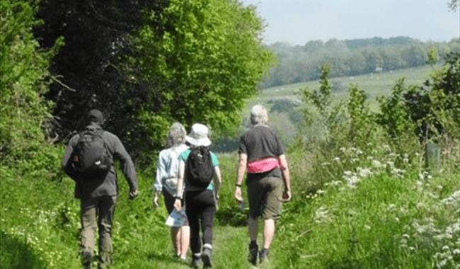 North Wessex Downs Walking Festival