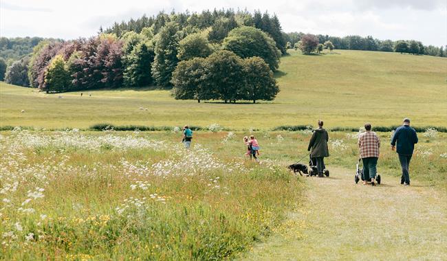 Garden Explorer Trail at West Dean Gardens - Summer Holiday Activities