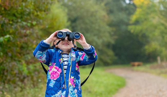 Brilliant Birds Home Education Sessions 8-11 yrs