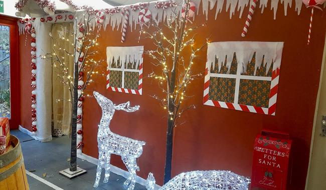 Santa's Grotto Brogdale Farm