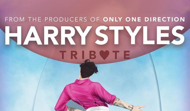 Harry Styles tribute