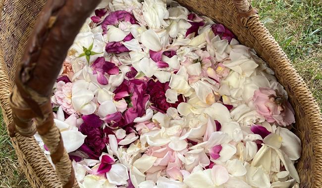 Rose Distilling Workshop