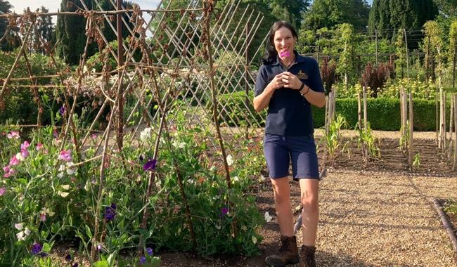 Meet the Head Gardener Tour