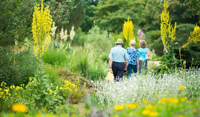 The Savill Garden