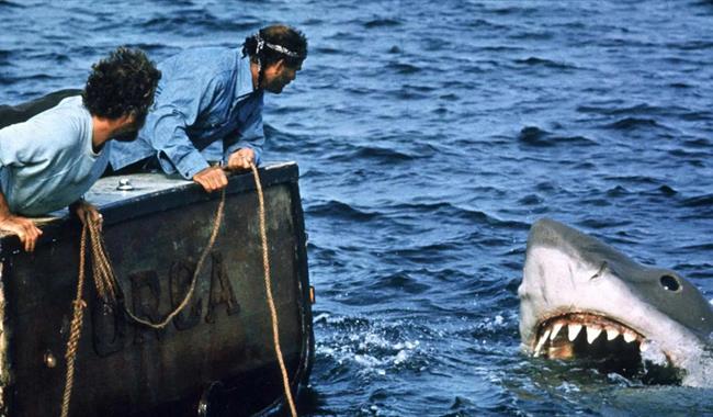 Jaws