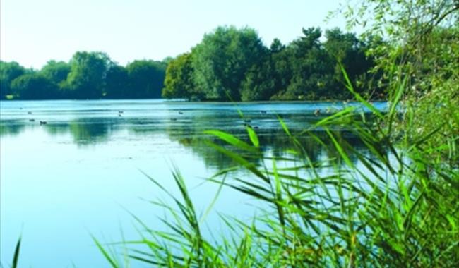 Lake at Hardwick Parks