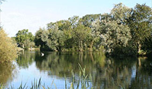 Lechlade Trout Fishery