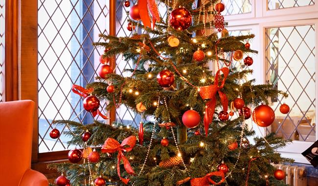 Christmas tree indoors at Leonardslee Lakes and Gardens