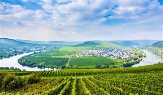 World of Wine: Explore Germany, England, Austria and Hungary