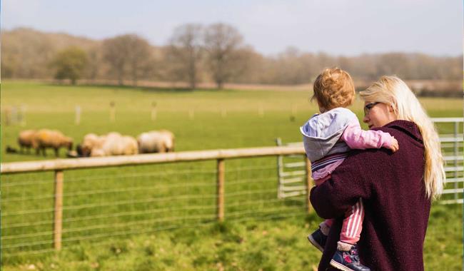 Celebrate Mother’s Day at Rare Breeds Centre
