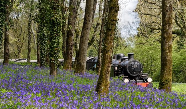 Isle of Wight, Steam Railway, Things to Do, Mothers Day events