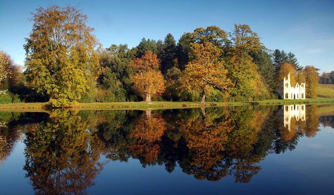 The Ruined Abbey at Painshill