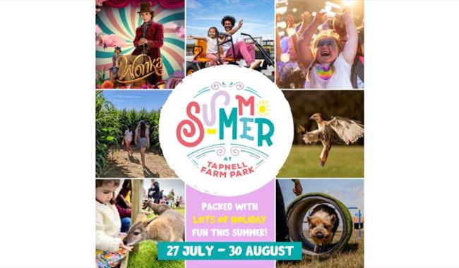 Summer fun poster at Tapnell Farm Park, Yarmouth, events, things to do