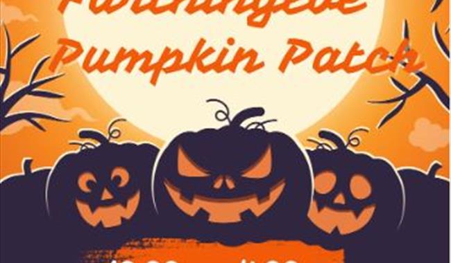 PYO pumpkins at The Great Farthingloe Pumpking Patch