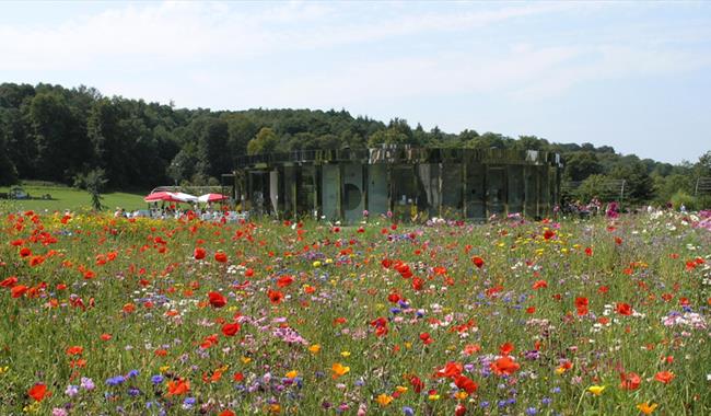 Reigate Priory Park