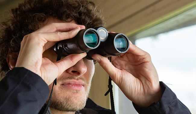 Optics Demo Day
