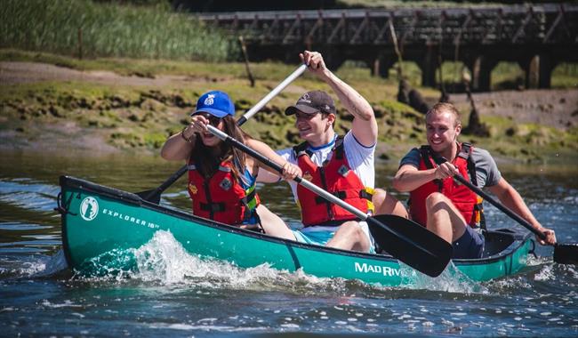 New Forest Activities Team Building