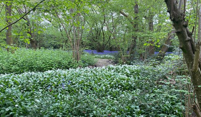 NGS Open Days at The Garth Pleasure Grounds, Surrey