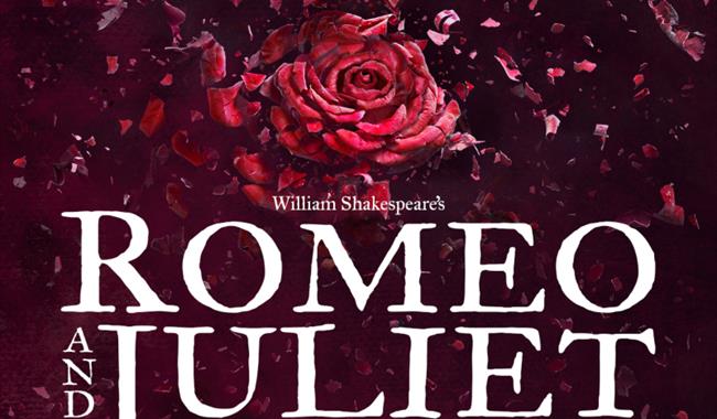 Romeo & Juliet banner featuring a shredding red rose