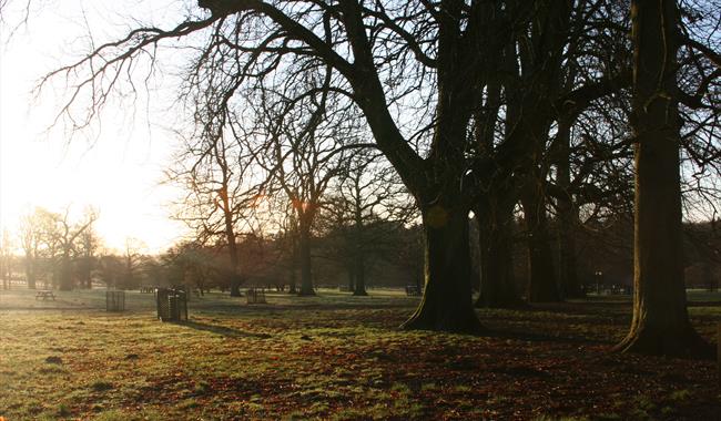 Westonbirt Arboretum