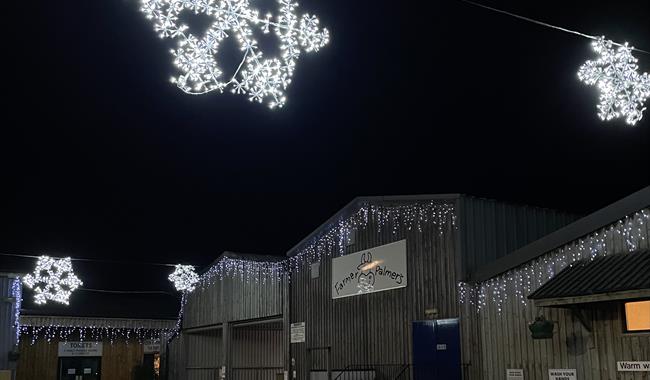 star lights at night farmer palmers farm park