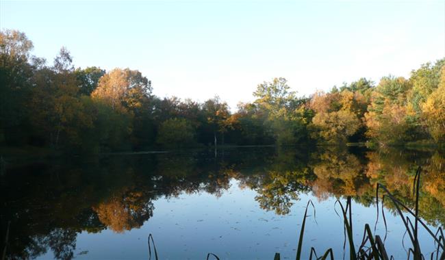 Yateley Common Country Park