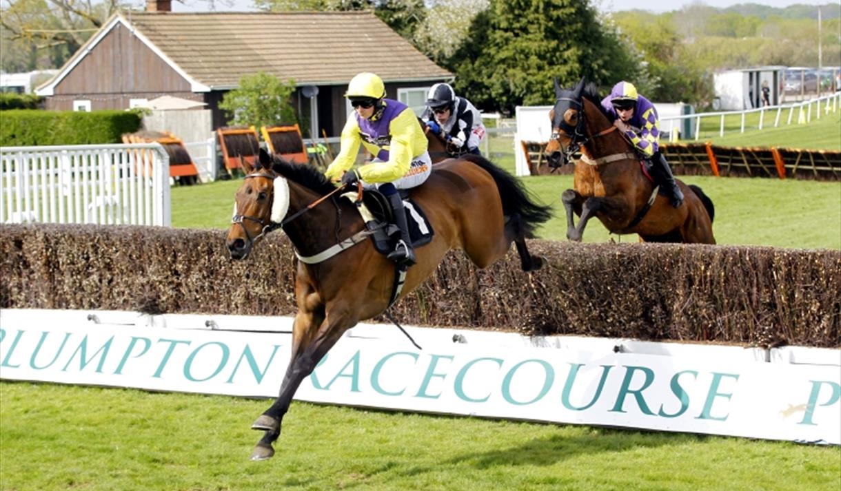 Plumpton Racecourse, Nature in England — Ravlling