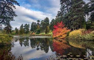 Bedgebury National Pinetum & Forest