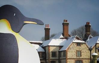 Penguin Trail