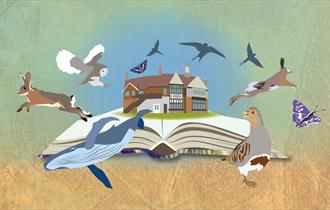 Watching Narrowly: a Natural History Book Day in Selborne