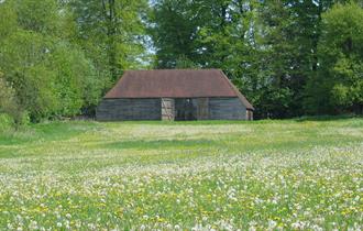 Gilbert White Field Studies Centre Open Day
