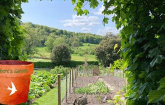 Gilbert's Garden: Kitchen Garden Planting & Spring Bulb Day