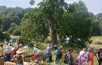 Plants Fair