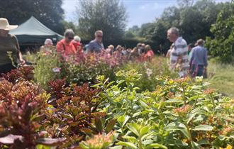 Unusual Plant Fair