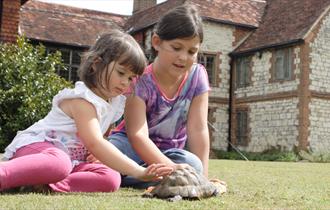 Two children petting a tortoise