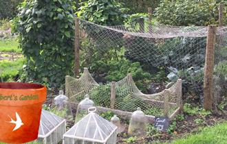 Gilbert's Garden: Kitchen Garden Harvest Day