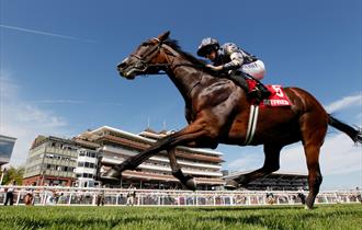 Newbury Racecourse