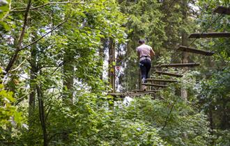 Go Ape in the South East