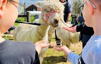 Aldingbourne Country Centre