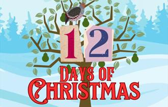 12 days of Christmas trail at Painshill, Surrey
