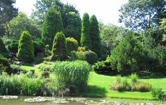 The Pines Garden, Tea Room & Museum