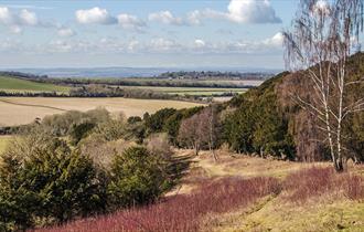 Watlington Hill, Oxfordshire