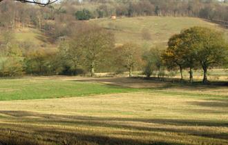 Abinger Roughs and Netley Park