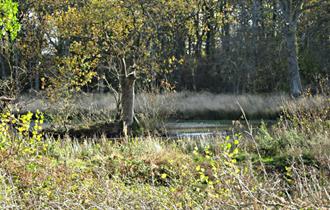 Bookham Pond