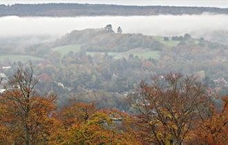 Denbies Hillside