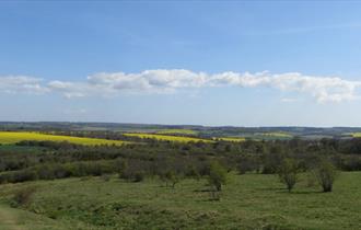 Stockbridge Down, Hampshire