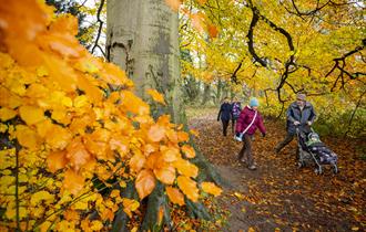 Visitors enjoying an autumnal walk.