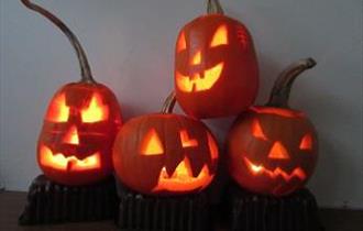 Pumpkin Carving at Sir Harold Hillier Gardens