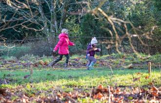 Giddy Gallops: February half term at Mottisfont